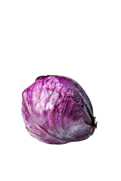 Lebenbauer&amp;#39;s Bio Rotkraut – RegionAlles Joglland