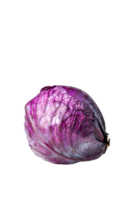 Lebenbauer's Bio Rotkraut