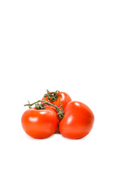 Lebenbauer's Bio Tomaten div. Sorten