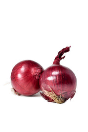 Lebenbauer's Bio Zwiebel rot